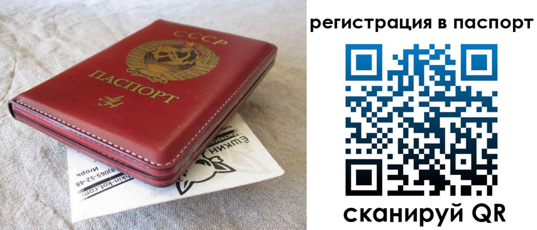 где прописаться в Арсеньеве
